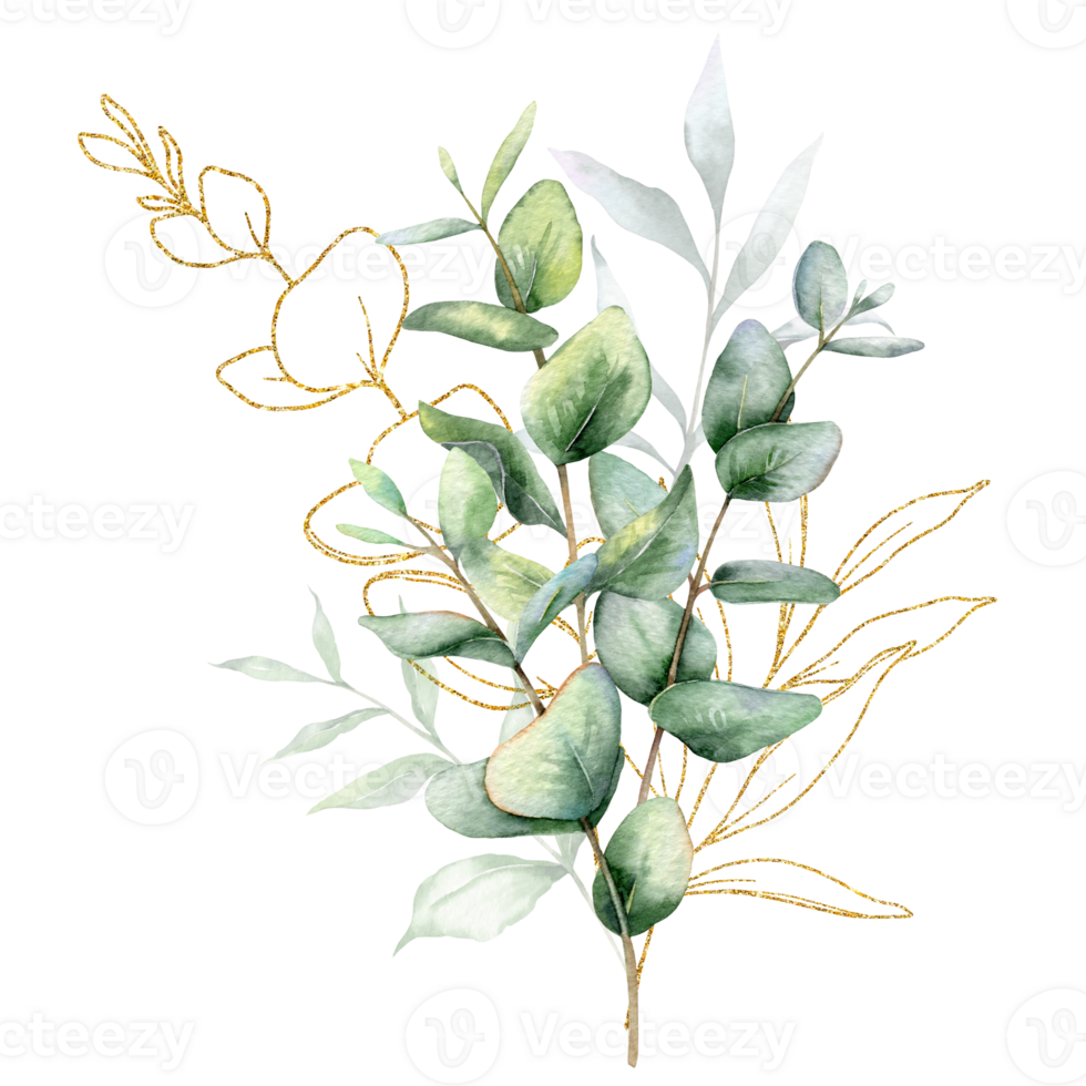 eucalyptus waterverf illustratie. eucalyptus groen hand- geschilderd geïsoleerd Aan wit achtergrond. perfect voor bruiloft uitnodigingen, bloemen etiketten, bruids douche en bloemen groet kaarten png