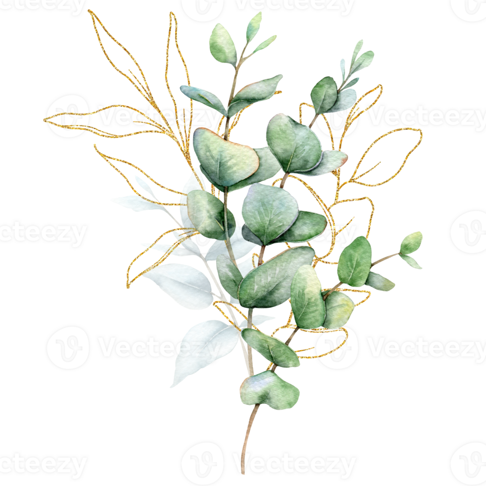 eucalyptus waterverf illustratie. eucalyptus groen hand- geschilderd geïsoleerd Aan wit achtergrond. perfect voor bruiloft uitnodigingen, bloemen etiketten, bruids douche en bloemen groet kaarten png