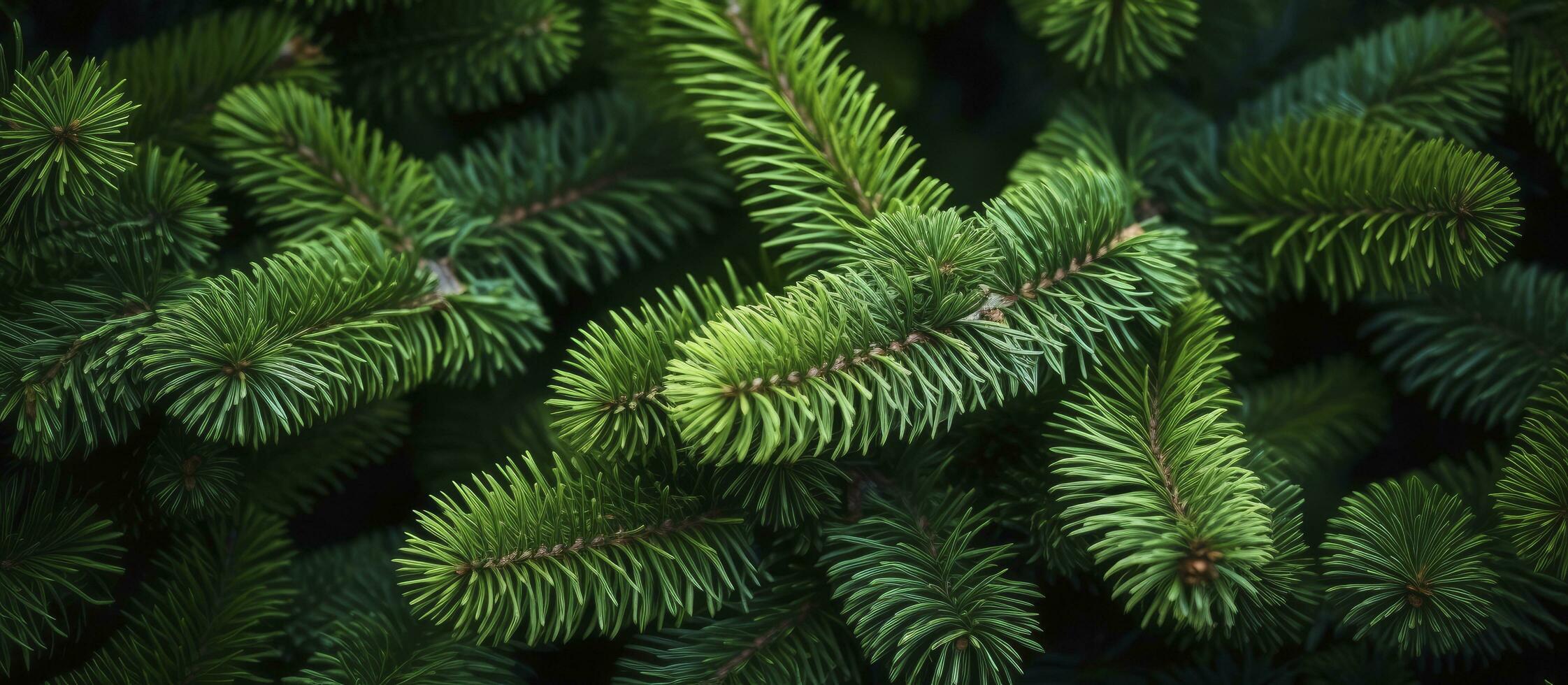 AI generated Christmas tree branches on a natural background. AI Generated photo