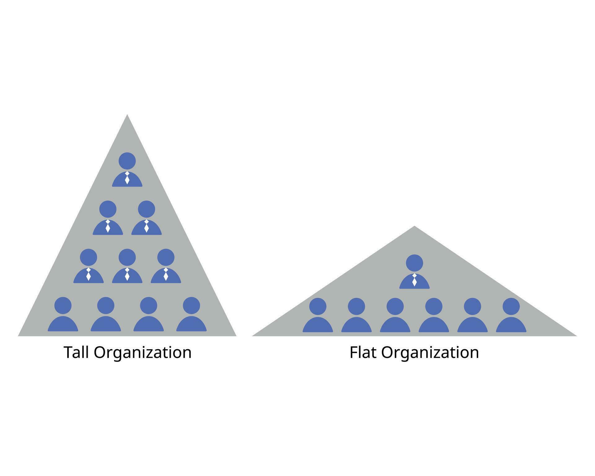 tall and flat organizational structure with wide and small wide spans