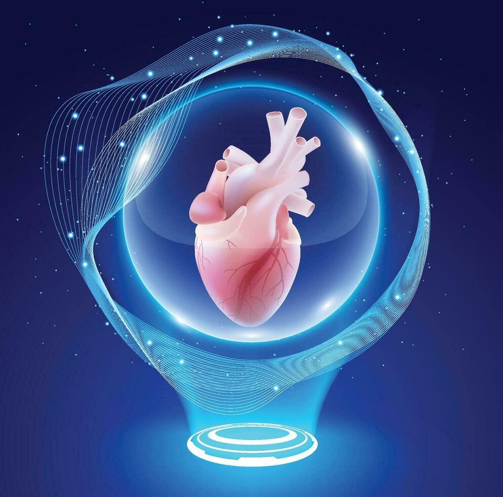 3D illustration of a human heart in a crystal ball gives a feeling of miracle for heart disease patients. vector