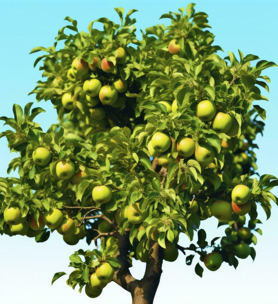 AI generated A beautiful green apple tree. AI Generated photo