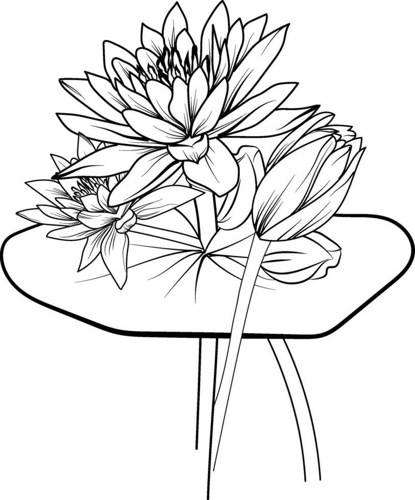 florecer lirio de agua flores y rama vector ilustración. mano dibujo vector ilustración para el colorante libro o página negro y blanco grabado tinta arte, para niños o adultos