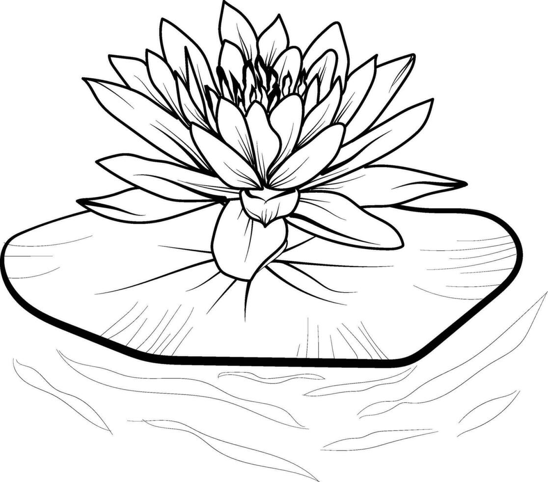 water lily flower drawing, a branch of the botanical spring collection, ink illustration vector art of waterlily bouquet, hand-drawn artistically, Egyptian lotus , easy flower coloring pages and book