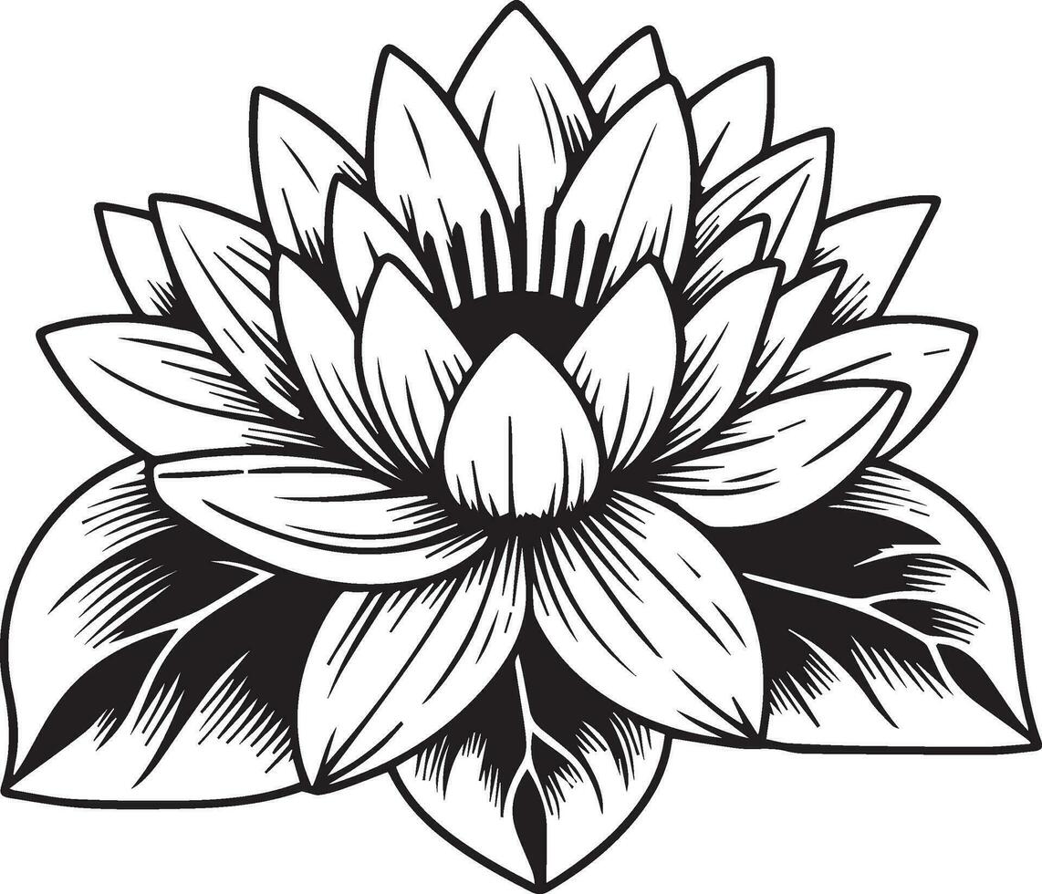 outline water lily drawing, tattoo outline water lily drawing, Japanese water lily tattoo design, July birth flower water lily tattoo, water lily pad coloring pages vector