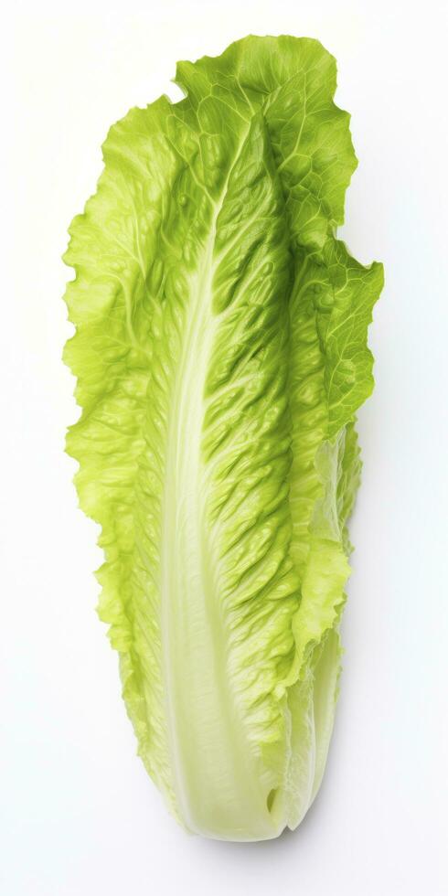 AI generated Lettuce isolated on white background. AI Generated photo