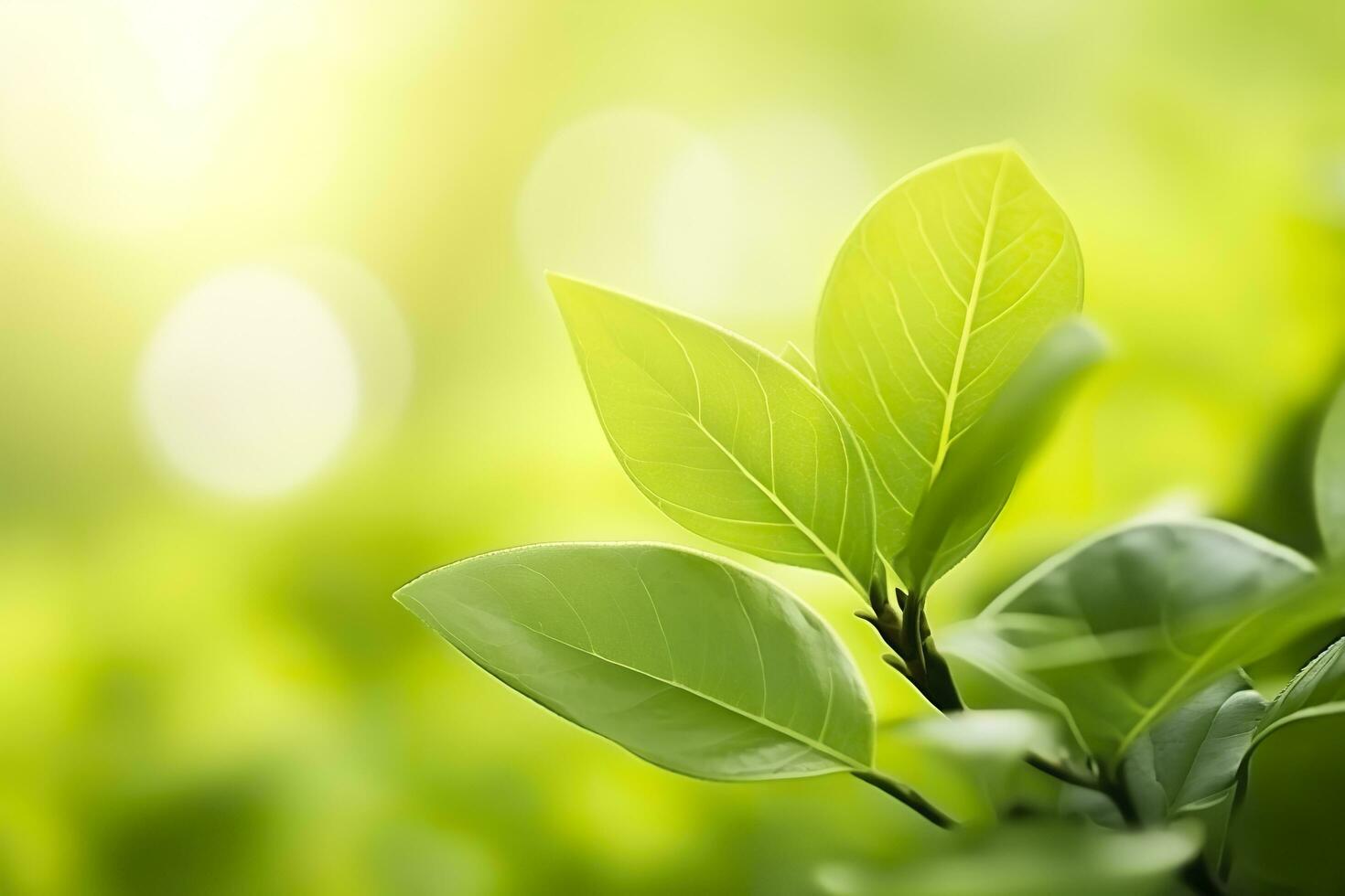 AI generated Nature of green leaf in a garden in summer under sunlight. Spring background. AI Generated photo