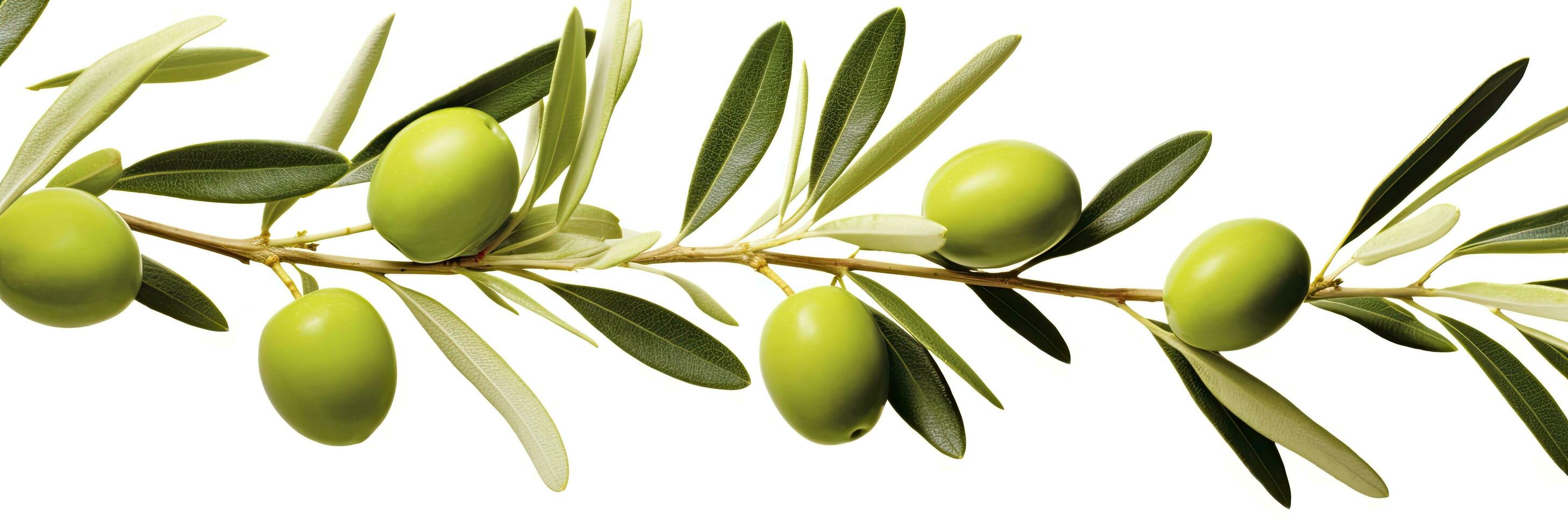 AI generated Olive tree branch, green olives and leaves on white background. AI Generated. photo