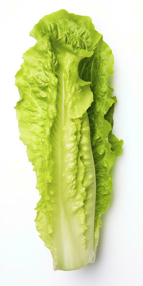 AI generated Lettuce isolated on white background. AI Generated photo