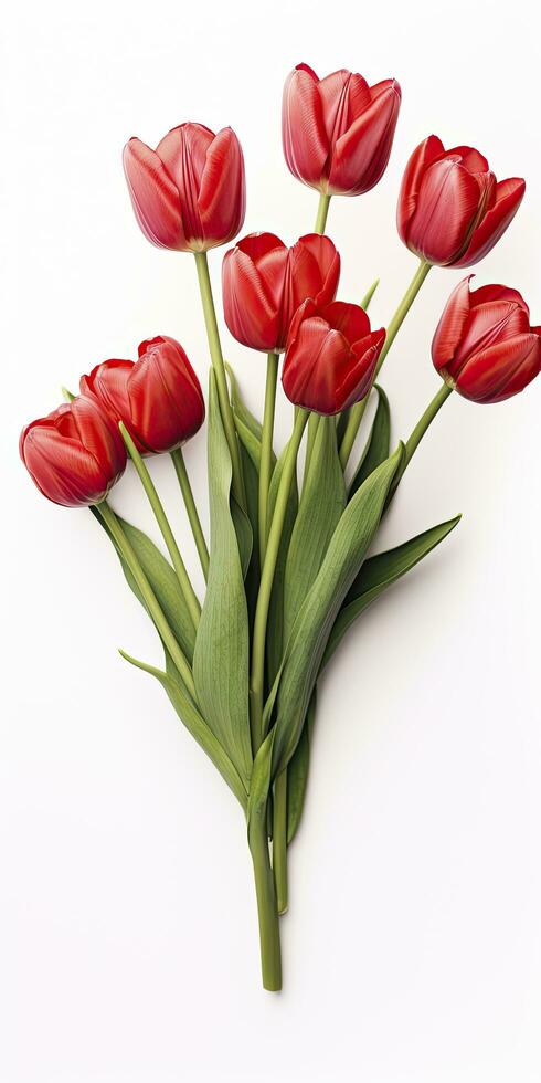 AI generated Red tulips isolated on white background. AI Generated photo