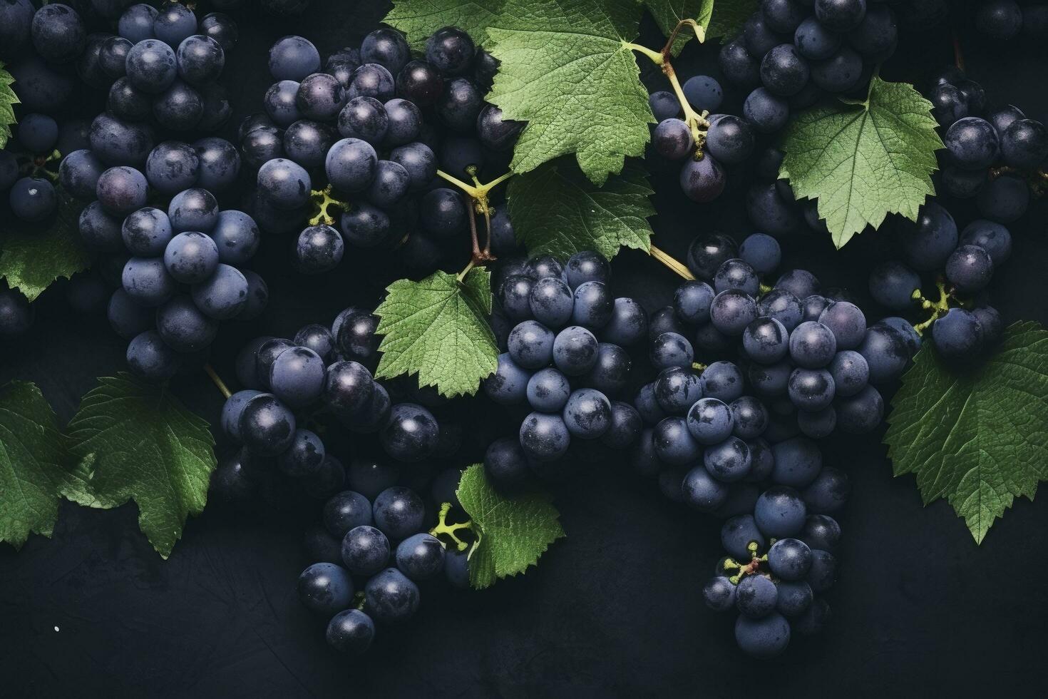 AI generated Flat lay background of vines, lots of organic blue dark grapes. AI Generated photo