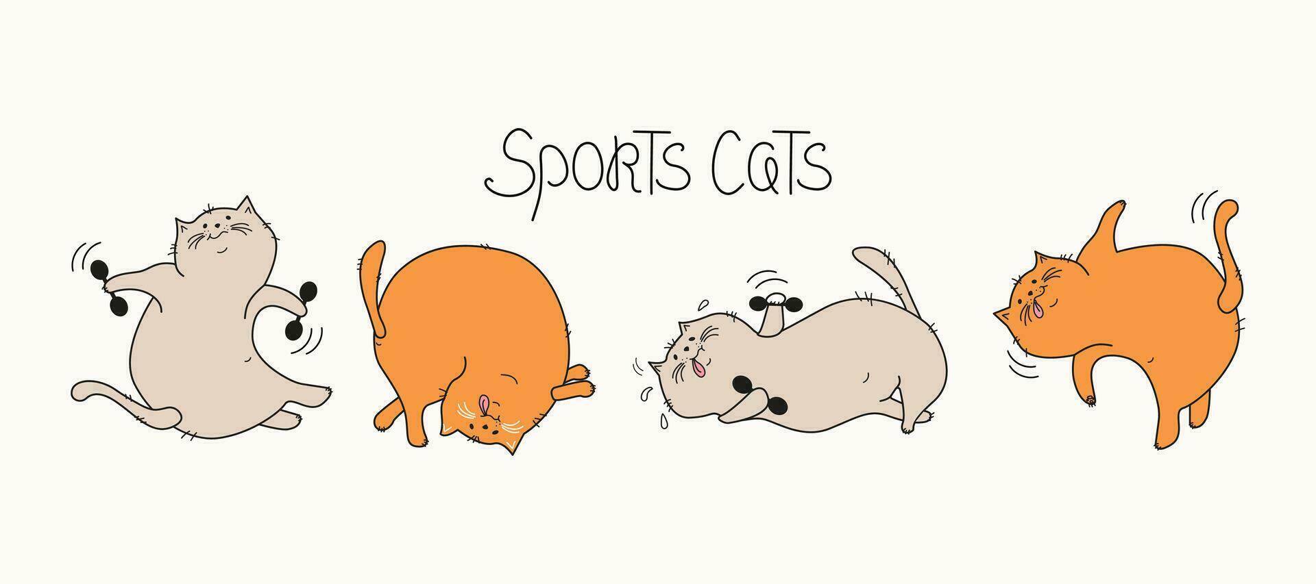 Sports cats, training. Set of cartoon cats, lettering. Fat happy cats do gymnastics. Cat with dumbbells, in a yoga pose. Doodle. Vector illustration. Background isolated.