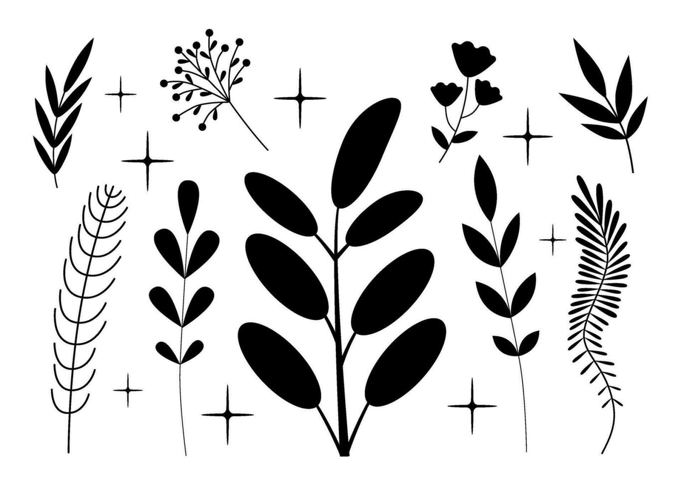 Plant silhouettes set. Isolated black elements. Decorative leaves, branches, flowers. vector