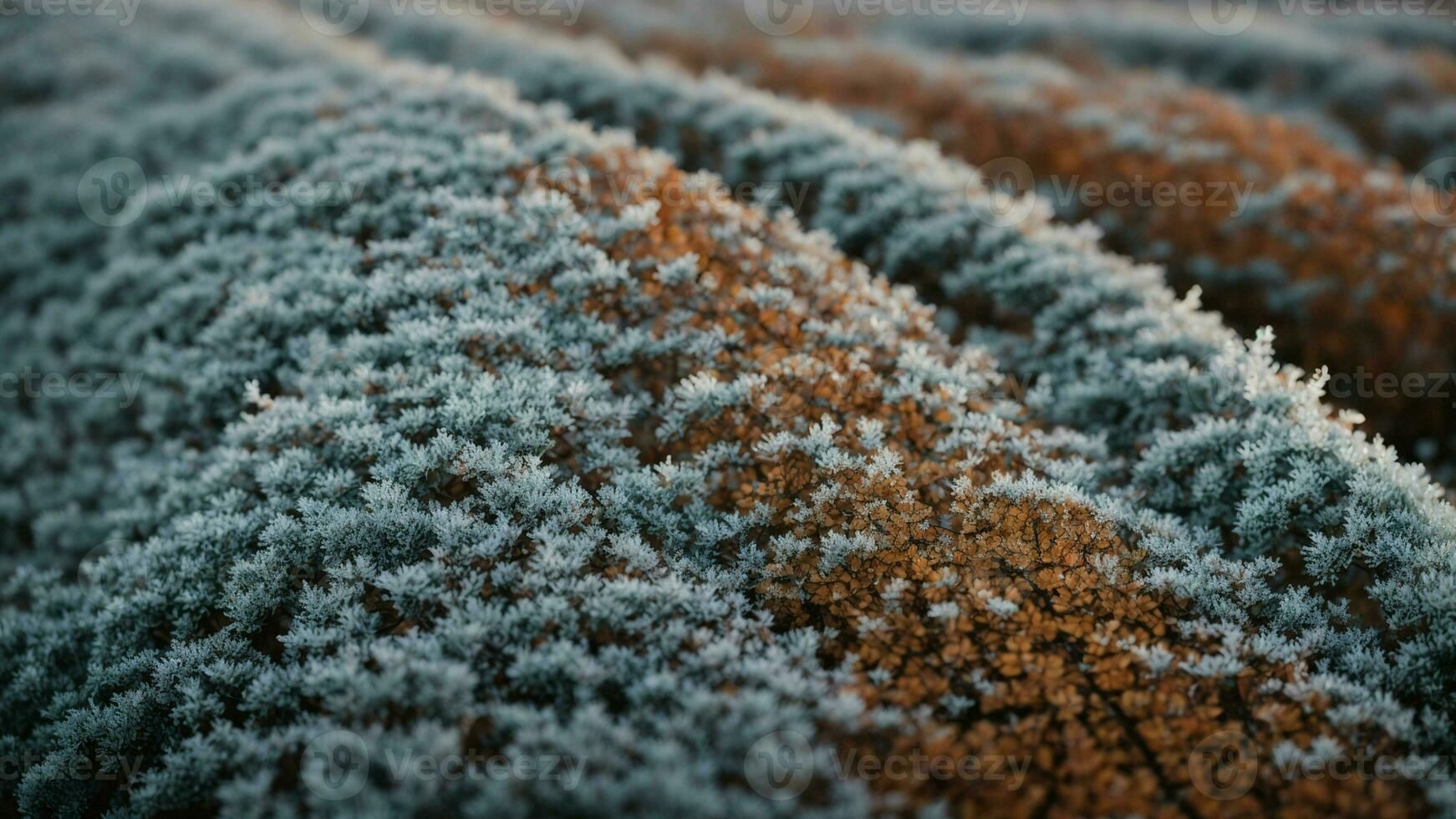AI generated Describe the intricate patterns of frost on the bark of a deciduous tree during a cold winter morning. photo