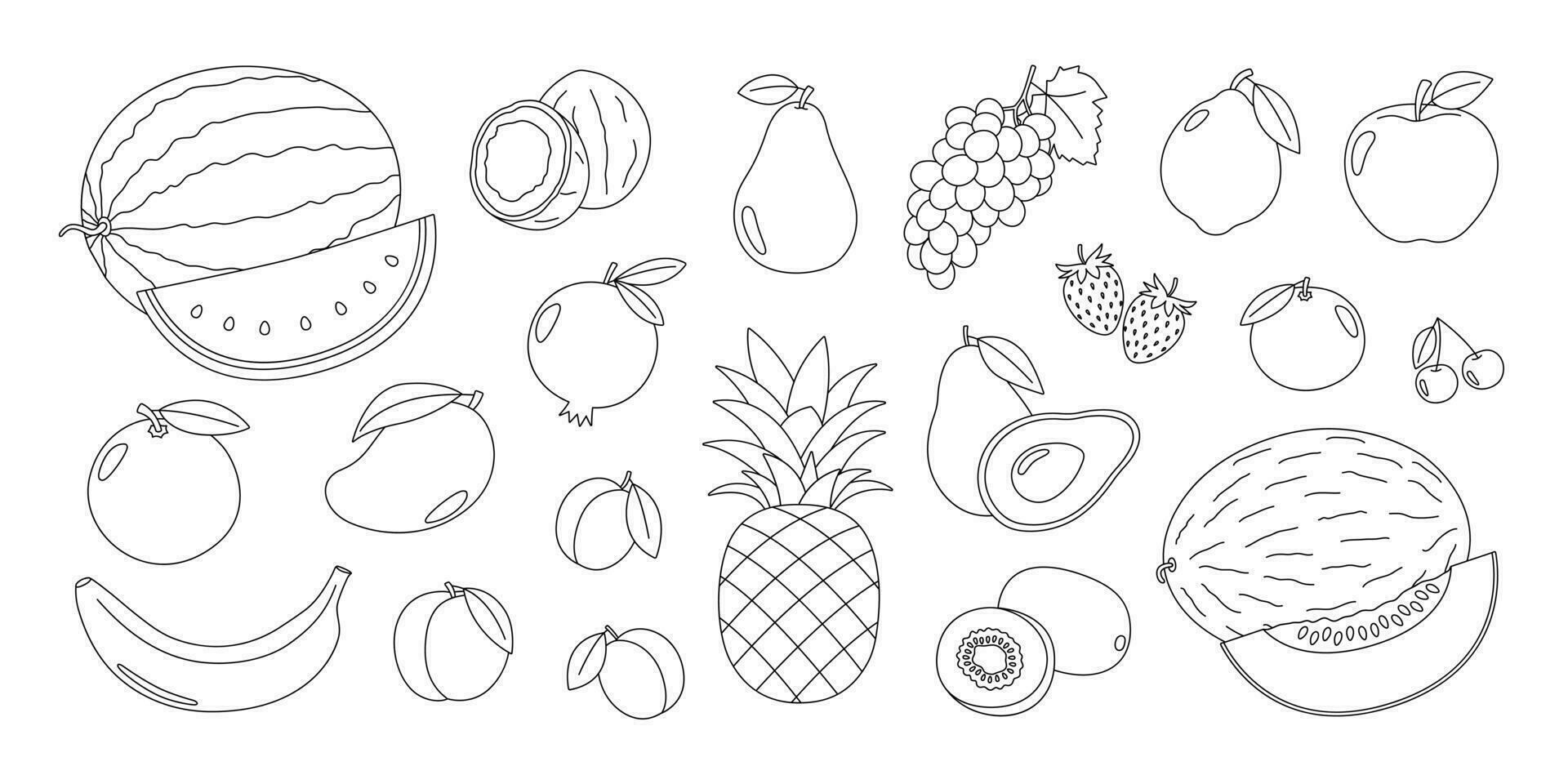 Fruits and berries outline set. Natural tropical fruits coloring page. Organic, vegetarian food. Healthy nutrition. Coloring book for print. Vector illustration isolated on white background