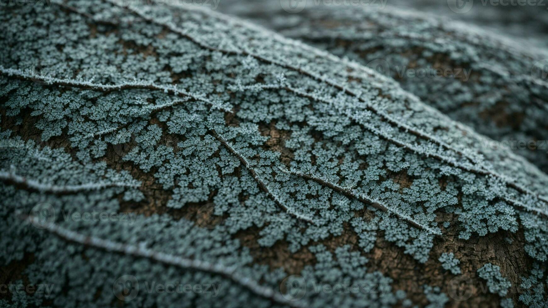 AI generated Detail the elaborate patterns etched by frost on the bark of a gnarled, weather-beaten oak tree. photo