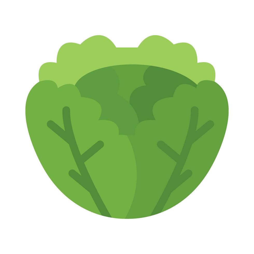 Cabbage Vector Flat Icon For Personal And Commercial Use.