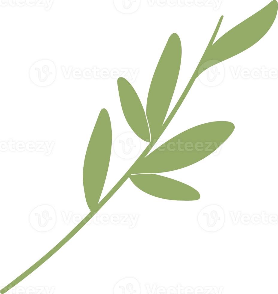 Bamboo green leaves decoration illustration png
