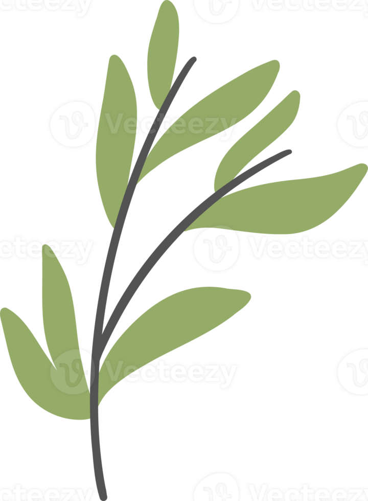 Bamboo green leaves decoration illustration png