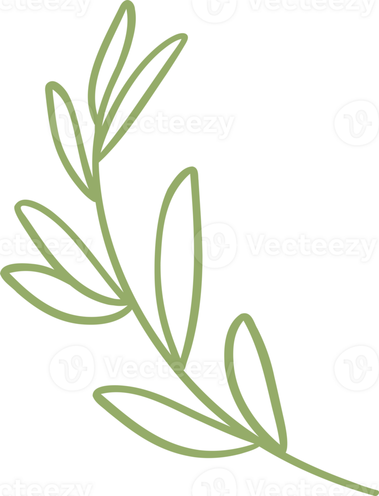 Bamboo green leaves outline decoration illustration png