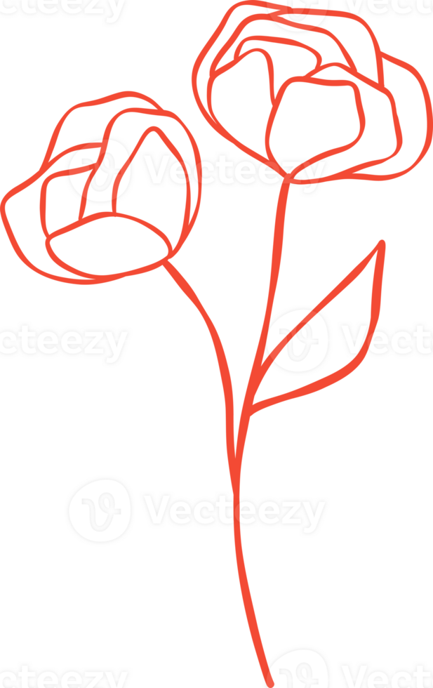 Cute Valentine roses outline illustration png