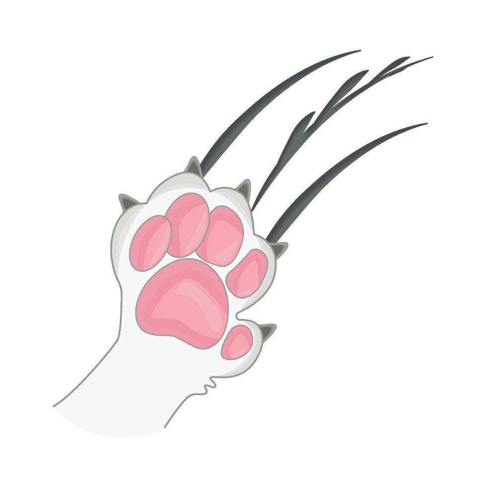illustration of cat paw scratching vector