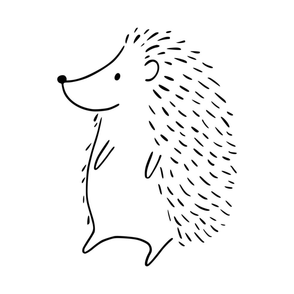 Cartoon doodle cute hedgehog - isolated vector illustration. Hand-drawn adorable hedgehog on his back. Spiny mammal. Forest animals. Vector illustration for children.