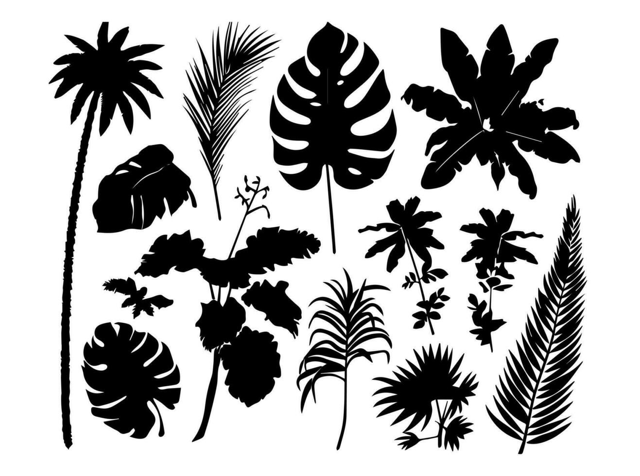 Set of black silhouettes of leaves and flowers. Vector illustration.