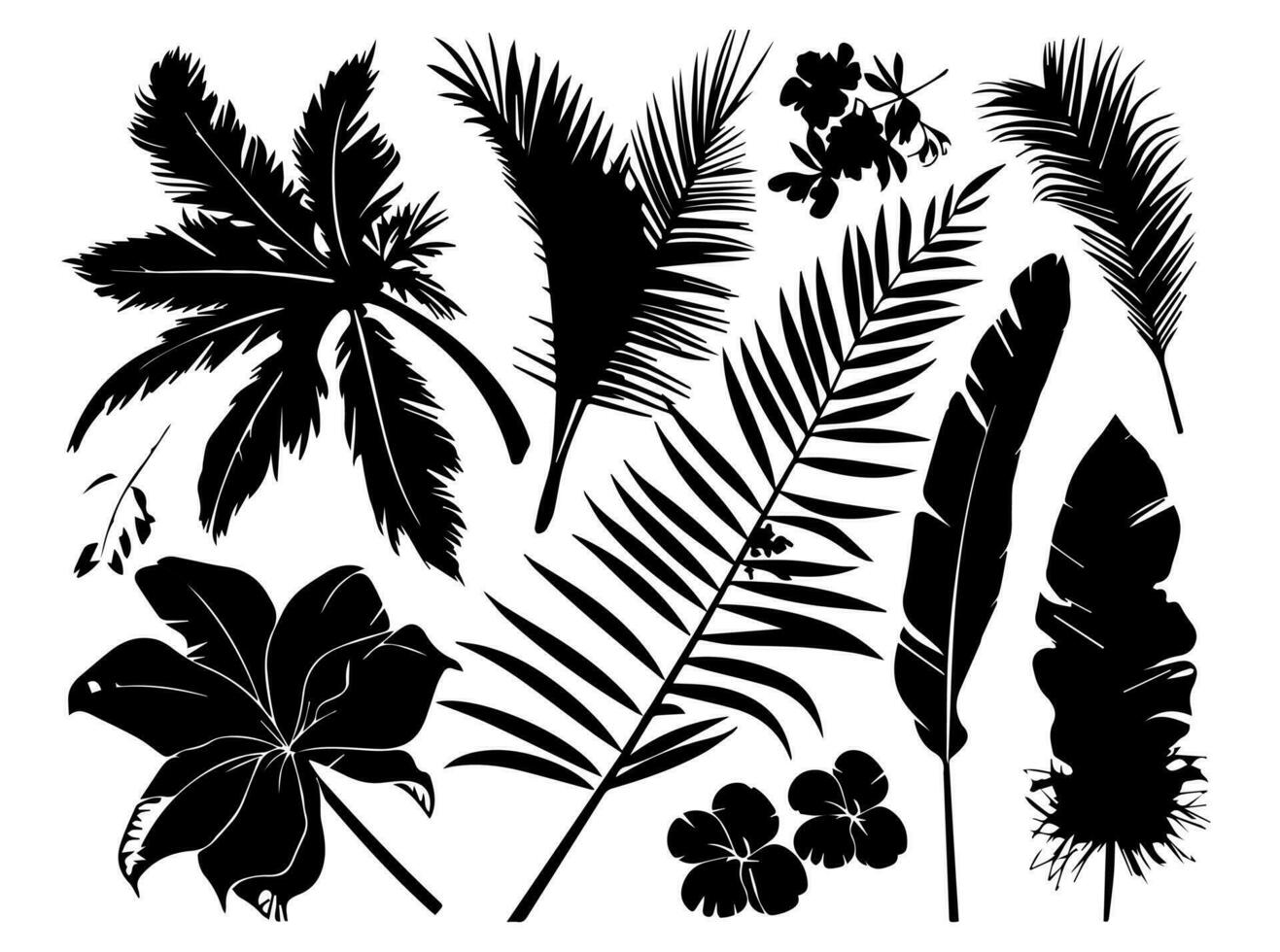 Set of black silhouettes of leaves and flowers. Vector illustration.