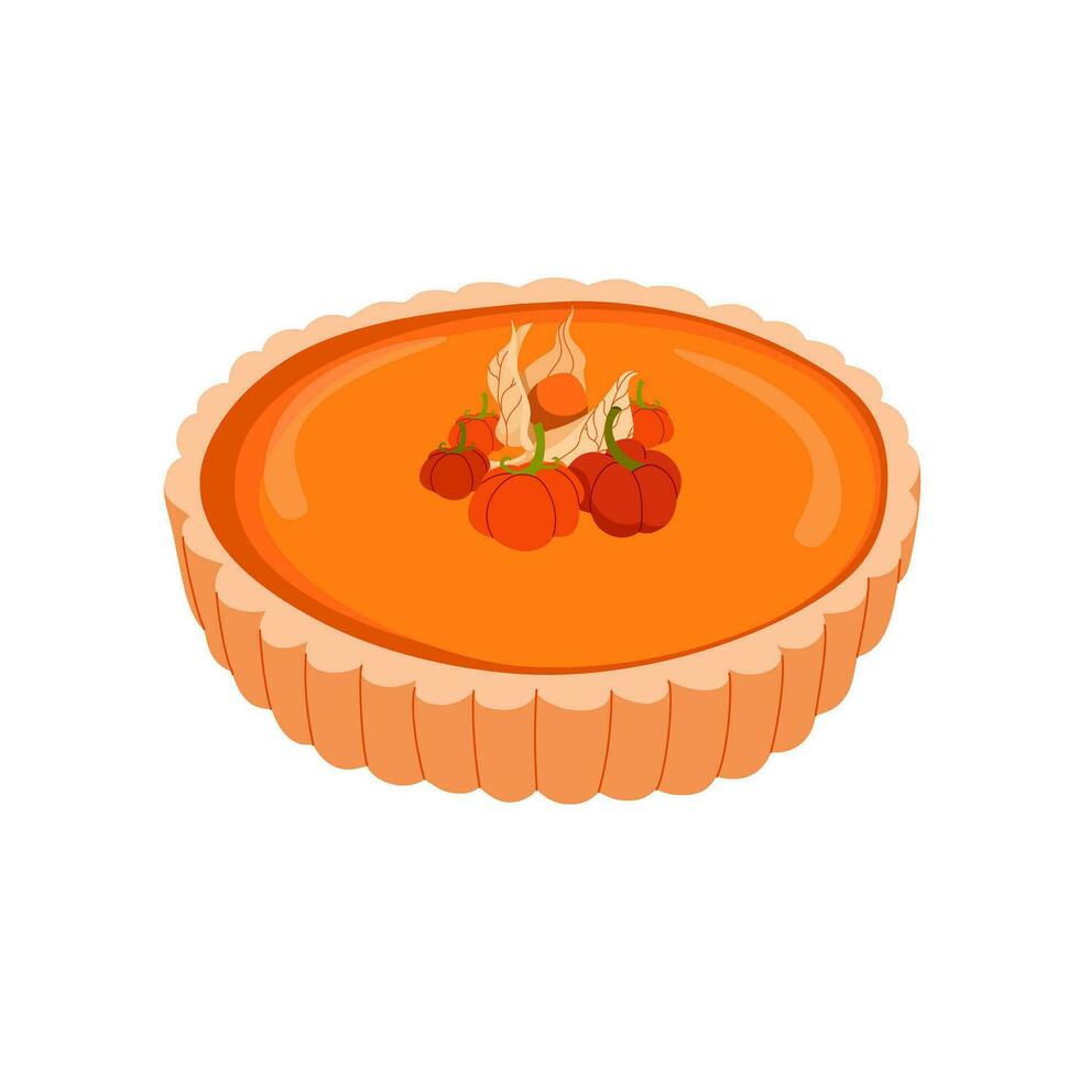 Pumpkin pie decorated with small pumpkins and physalis berries. Thanksgiving and Holiday Christmas sweet cake. Tasty sweet desserts. Illustration for recipe cookbook. Vector flat illustration.
