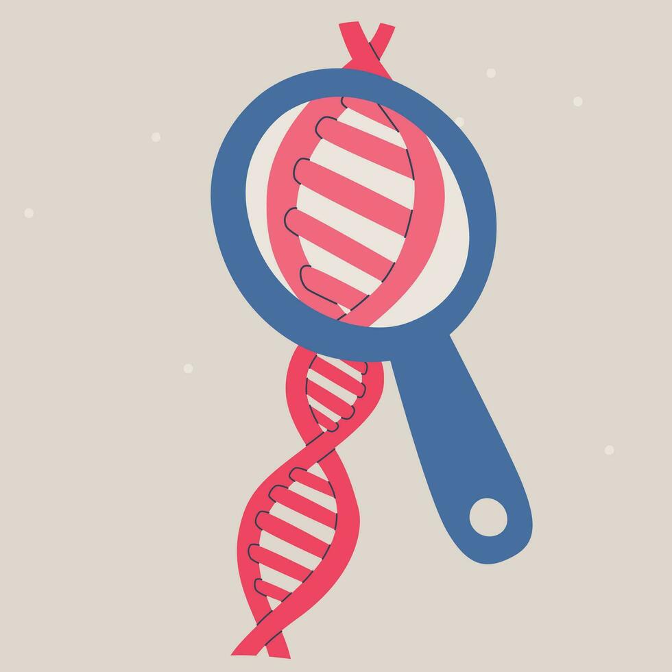 DNA helix under a magnifying glass or loupe. DNA research, genetic tests and ethnicity test. Vector isolated illustration.