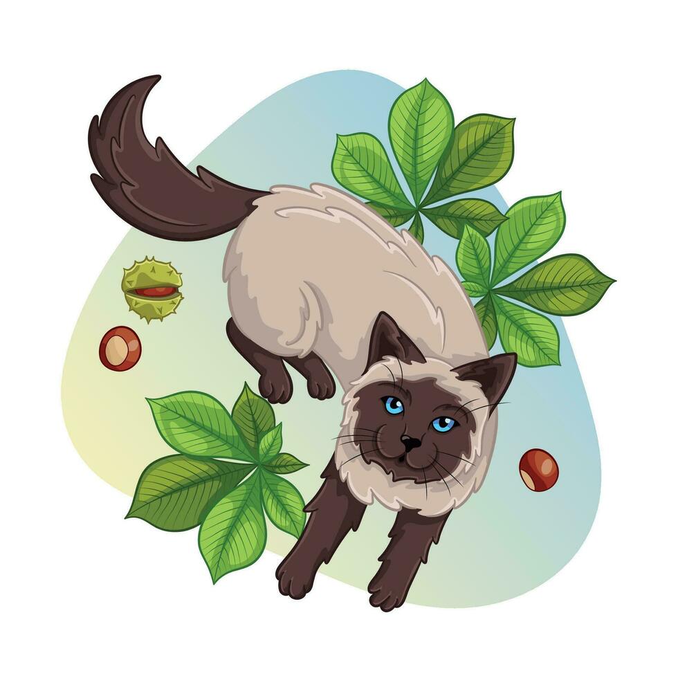 Cartoon flat conceptual illustration of siamese cat vector