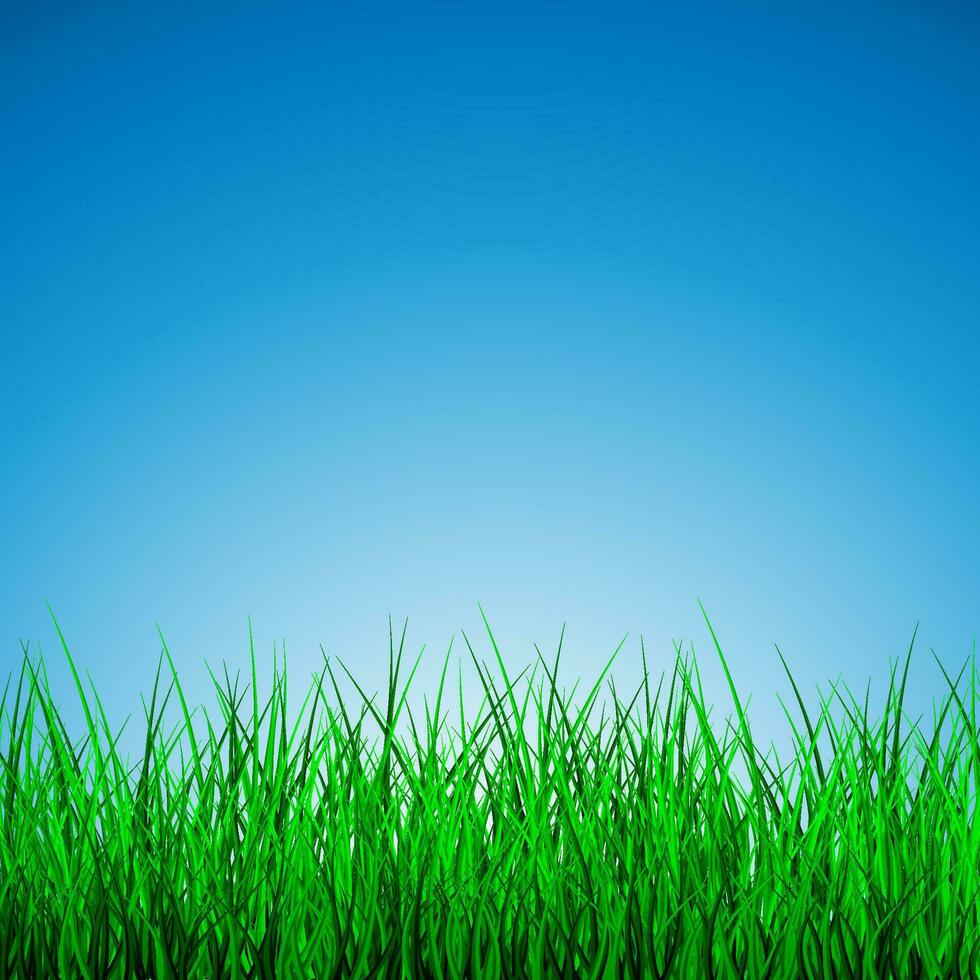Hola primavera póster con verde césped y azul cielo, vector ilustración