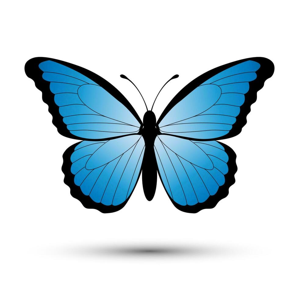 Blue butterfly isolated on a white background vector