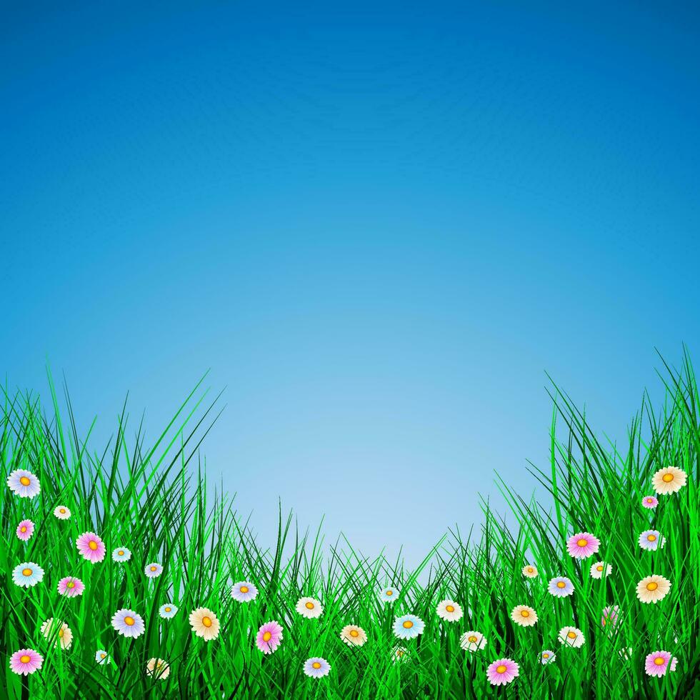 verde césped con flores en azul fondo, vector ilustración