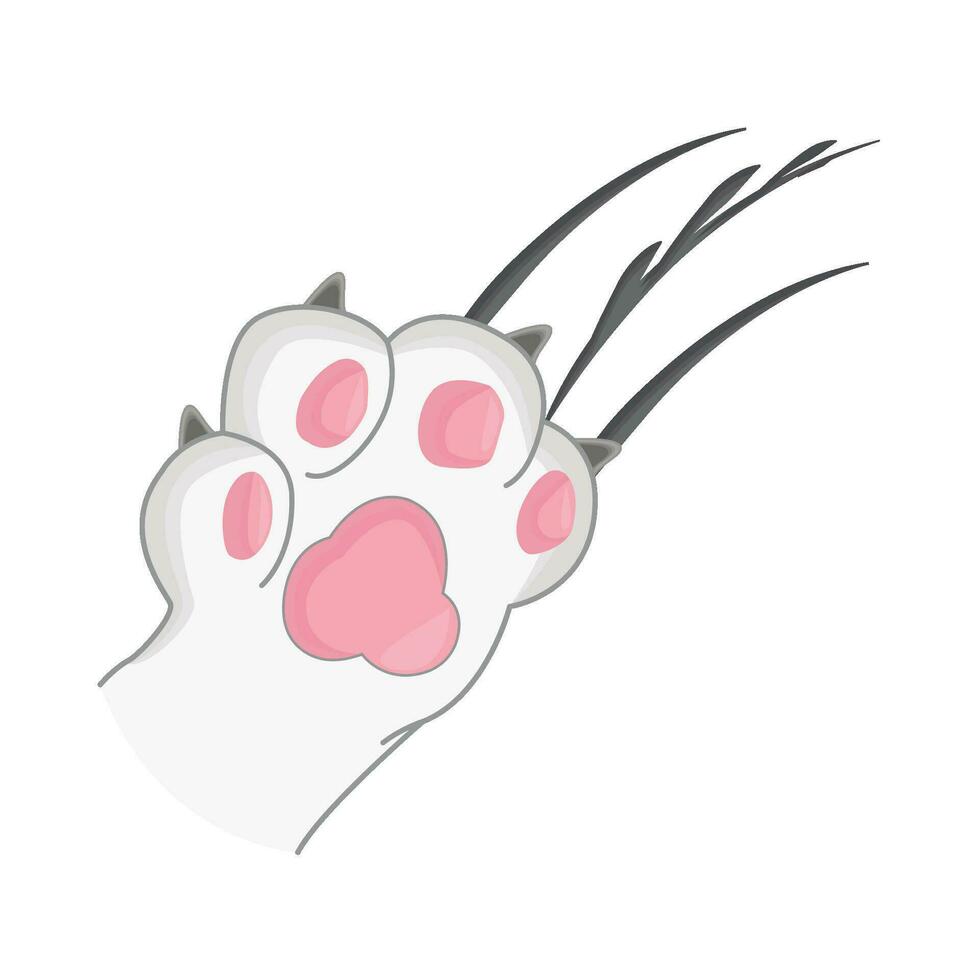illustration of paw vector