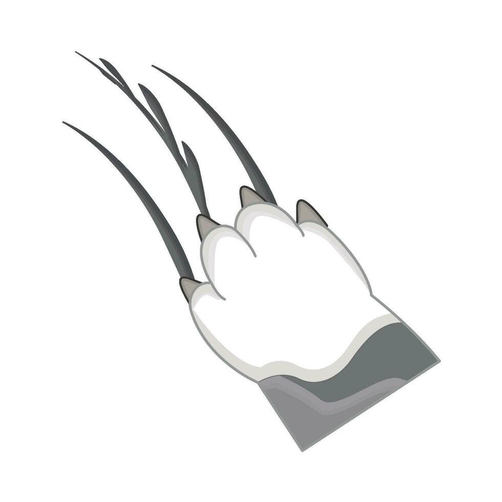 illustration of cat paw scratching vector