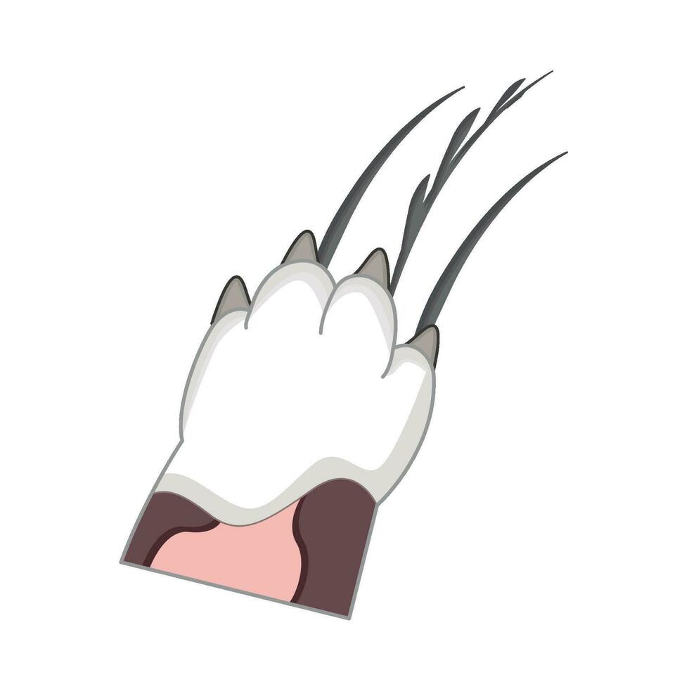 illustration of cat paw scratching vector