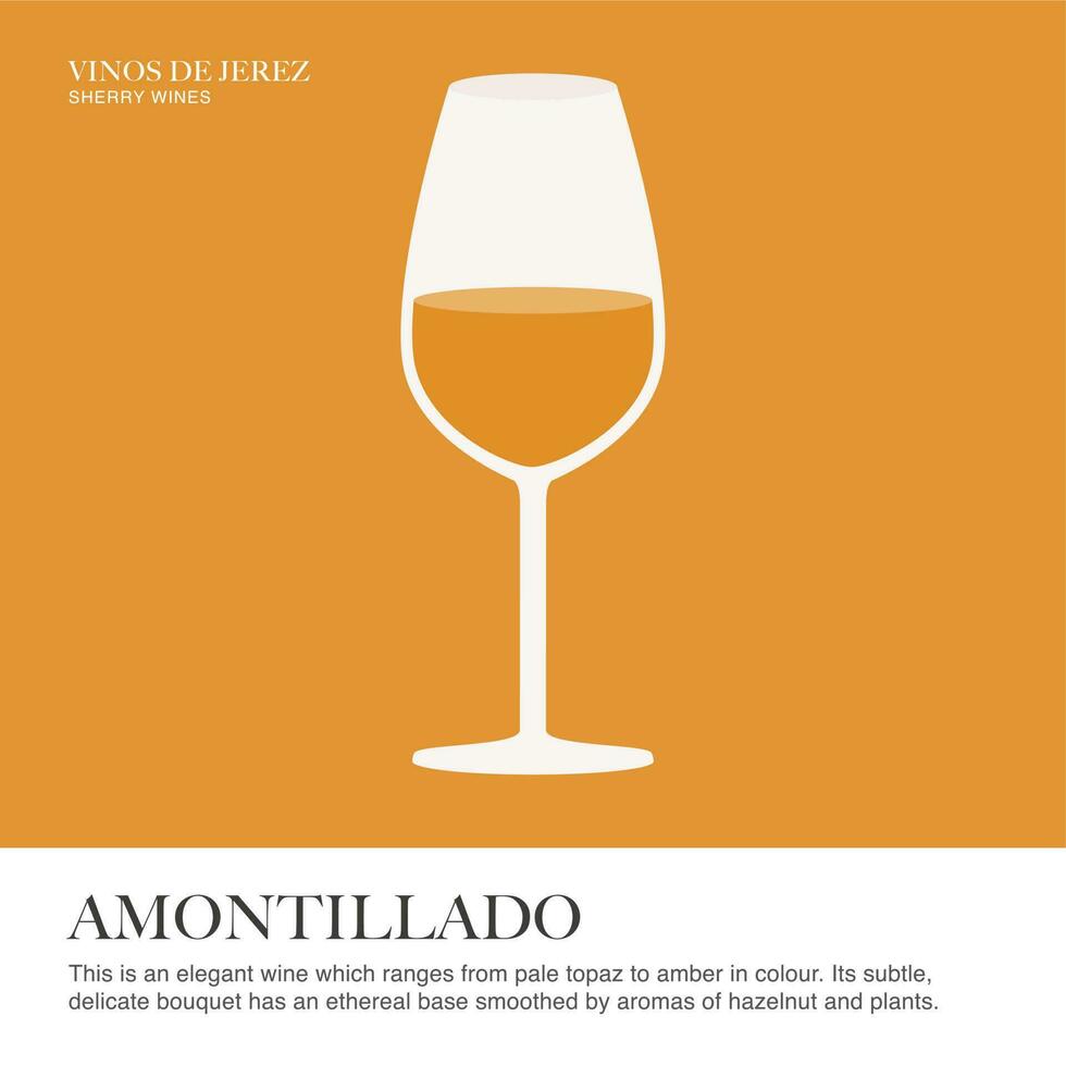 Amontillado spec sheet. Sherry wine. Illustrated guide for bars, restaurants, tourist guides, encyclopedias vector