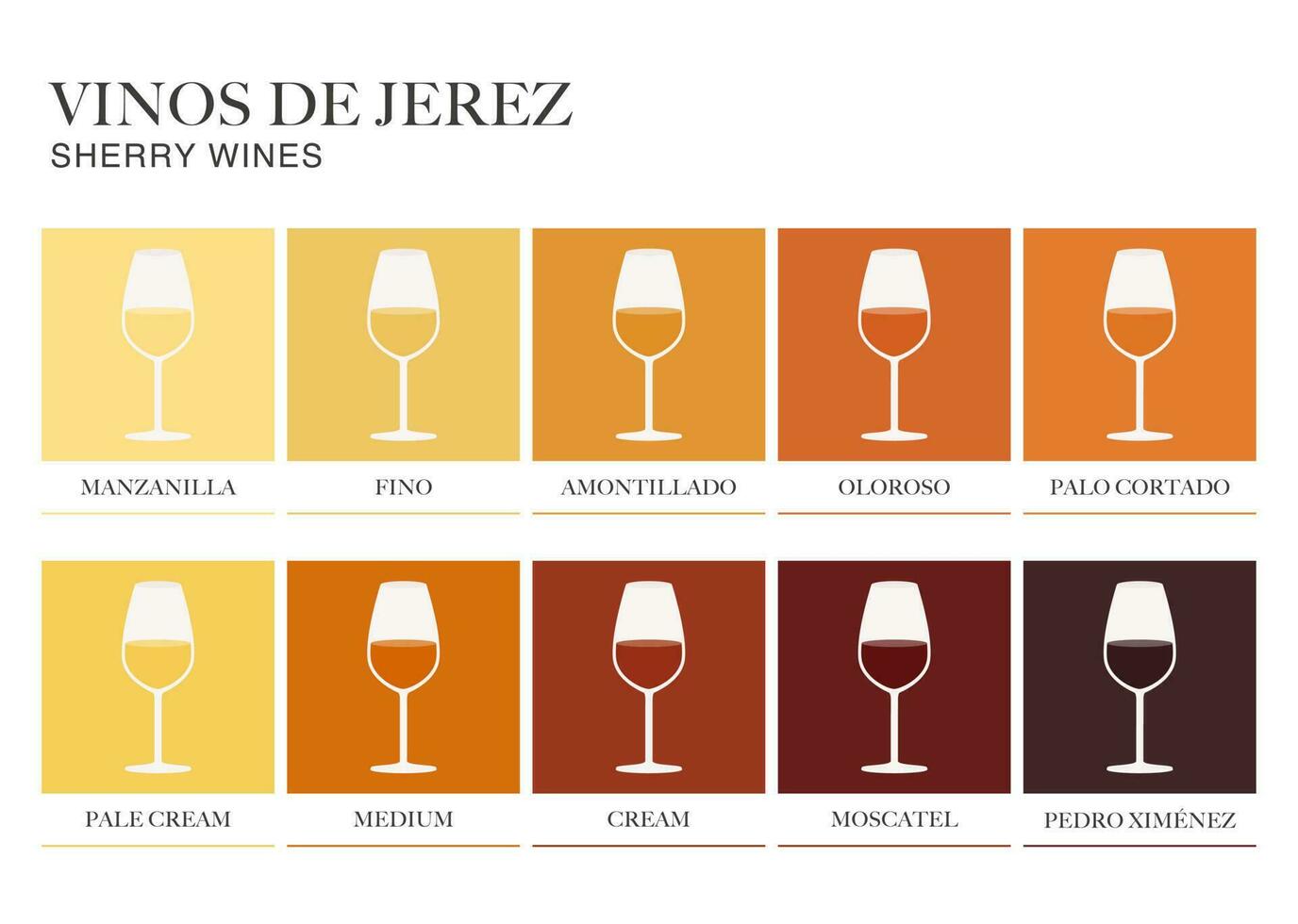 Sherry wine range written in Spanish. Illustrated guide for bars, restaurants, tourist guides, encyclopedias vector