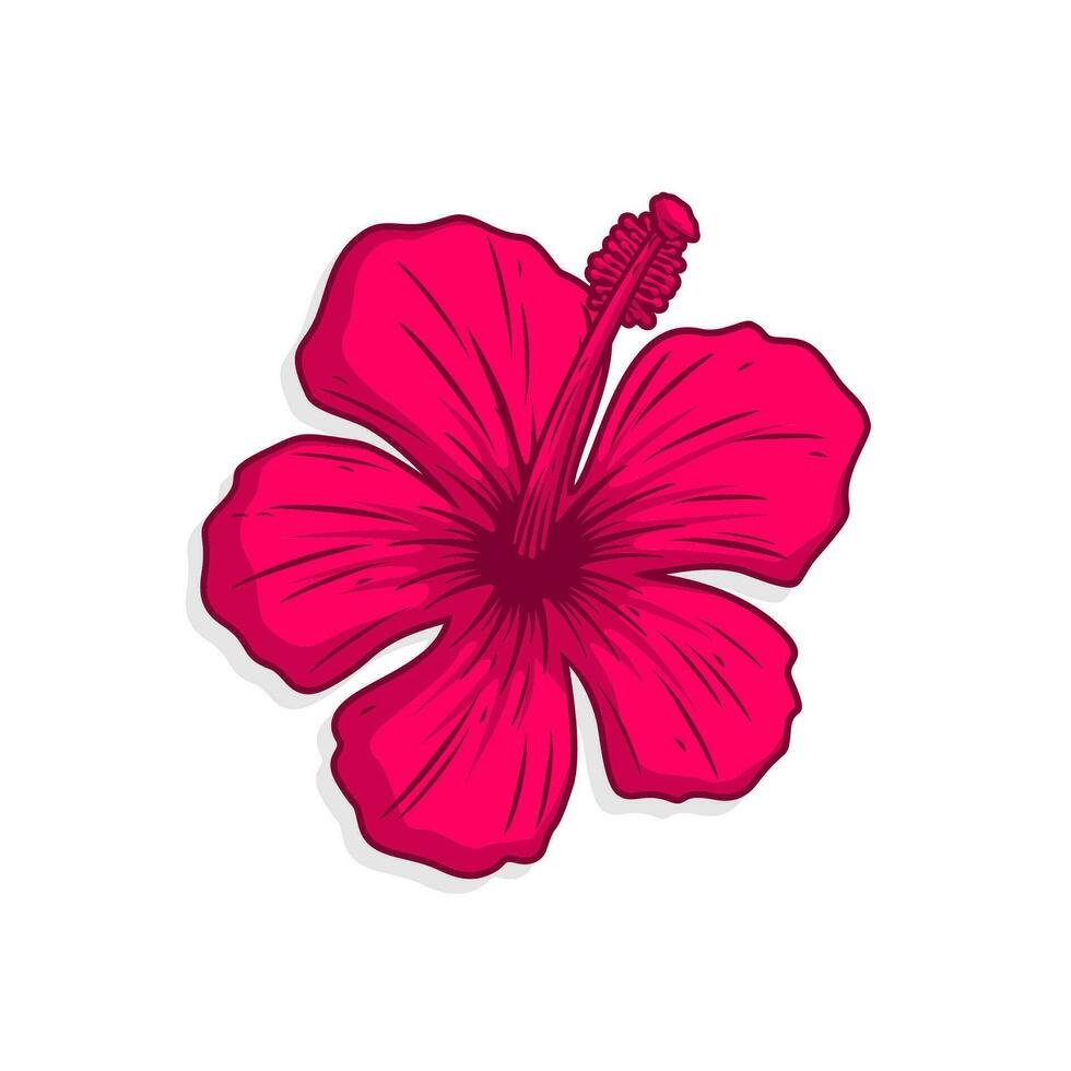 rosado hibisco vector