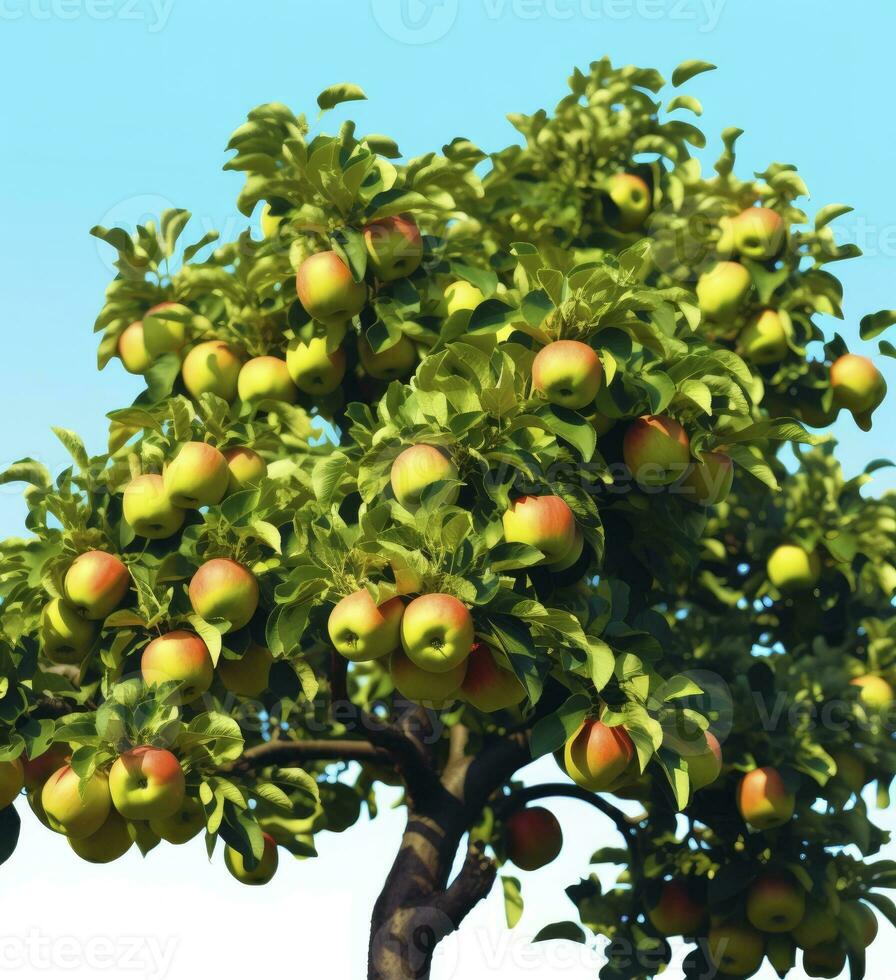 ai generado un hermosa verde manzana árbol. ai generado foto