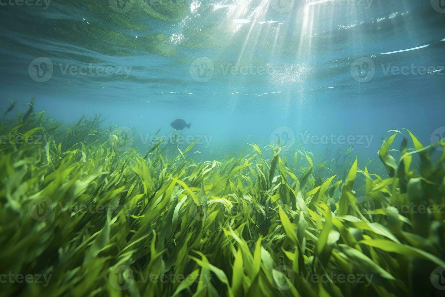 AI generated Underwater view of a group of seabed with green seagrass. AI Generated photo