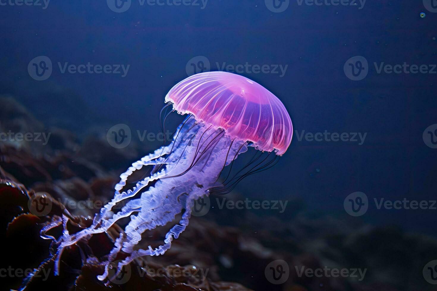 AI generated Mauve stinger purple jellyfish. AI Generated. photo
