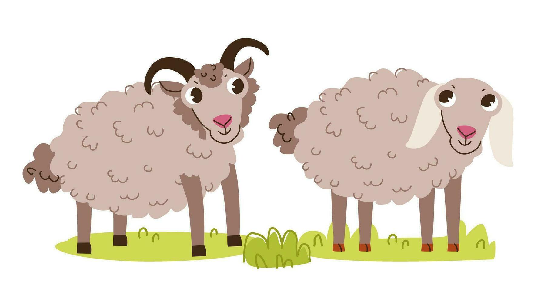 Cute ram and sheep. Cute kids vector illustration of farm animals.