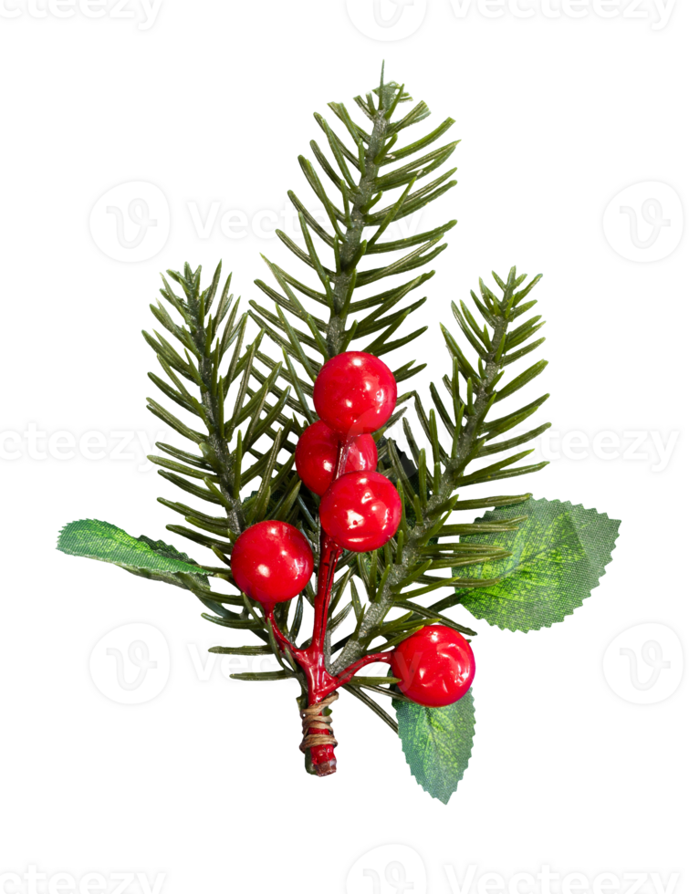 Christmas pine leaf with red berries png