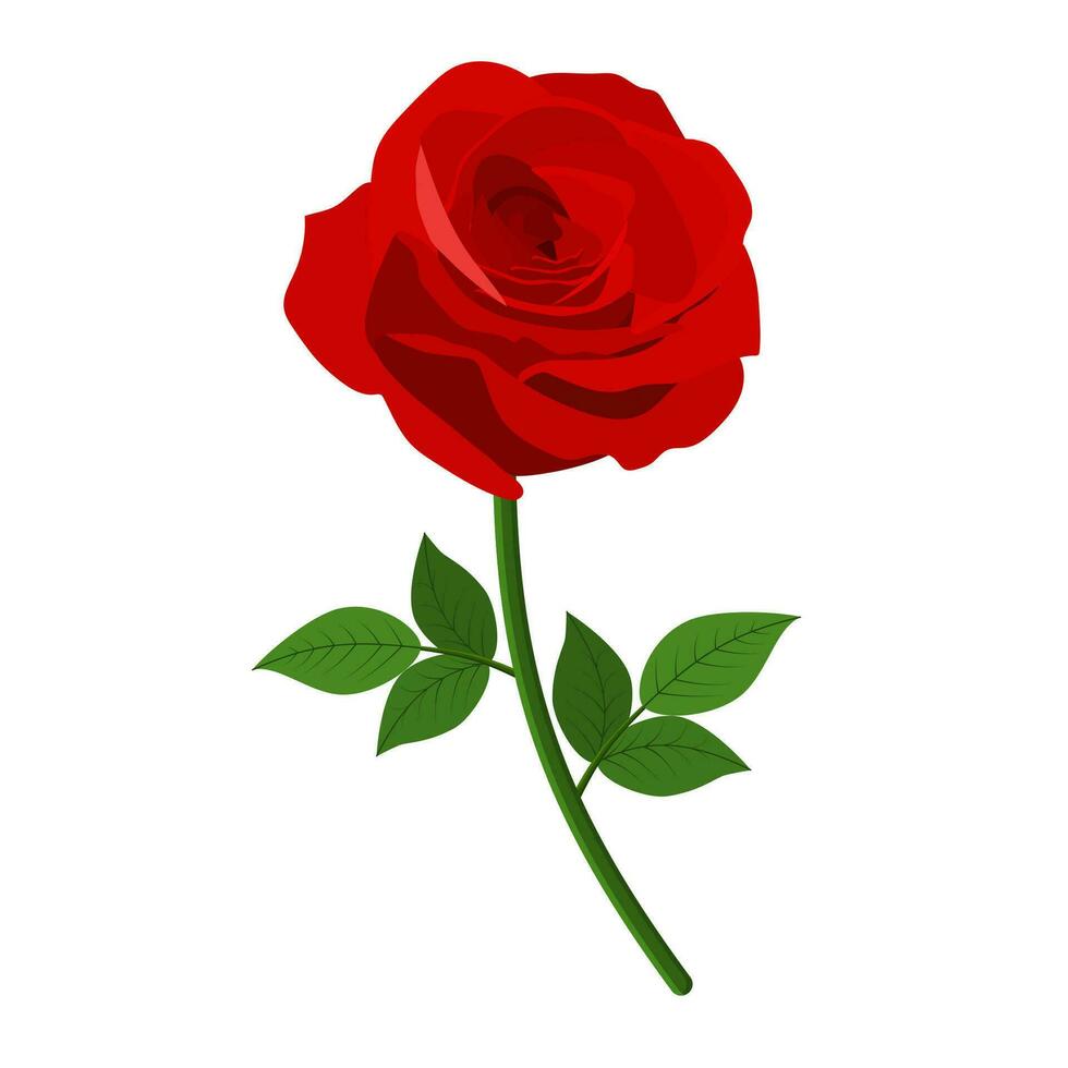 Red Roses icon vector