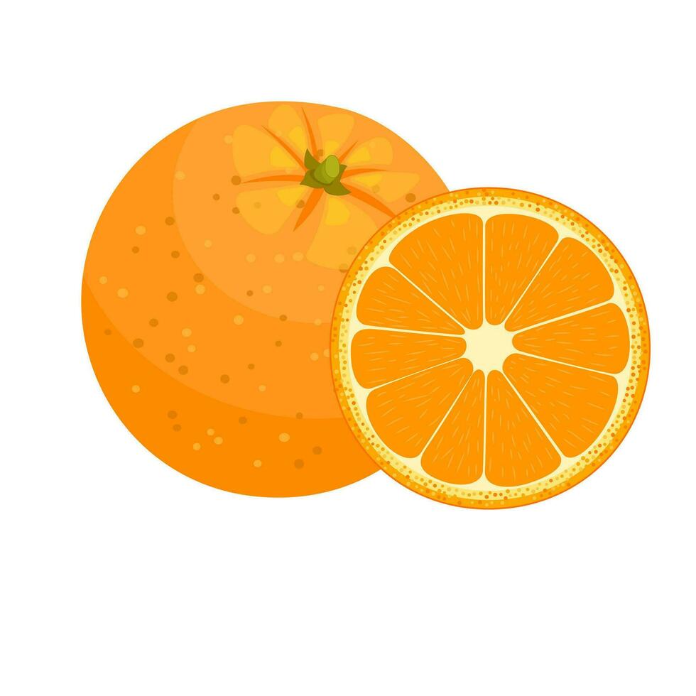 set of fresh ripe half oranges vector