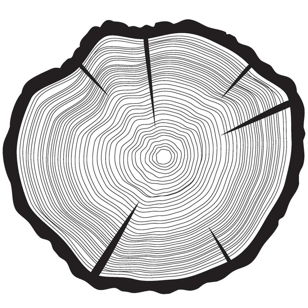 Tree rings background. Annual tree vector