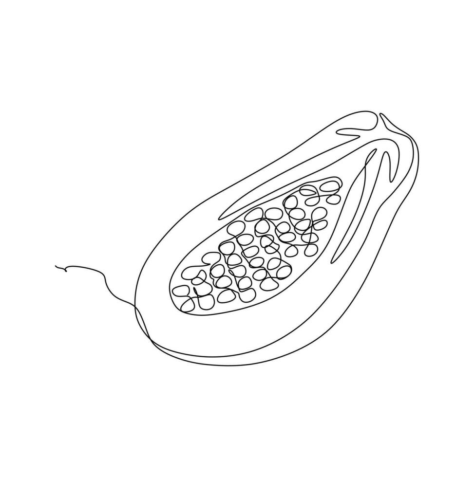 Continuous one simple single abstract line drawing of papaya on a white background. Linear stylized. vector